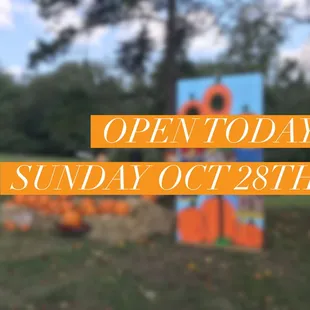 Open today October 28th from 1-6. #pumpkinpatchatbnb #pumpkinpatch #bnbfarmnc #lincolntonnc