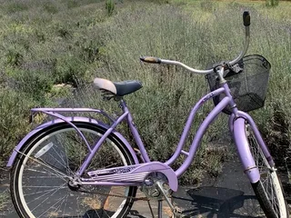 Dallas Lavender Lane Farm