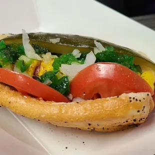 Chicago style dog