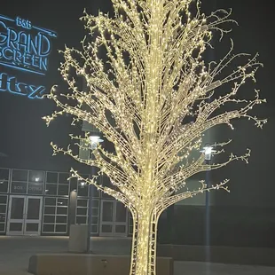 Christmas tree at B&amp;B