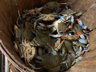 Buckroe Bait & Tackle & Seafood