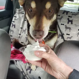 pup cup! #yum #ReviewsByRL
