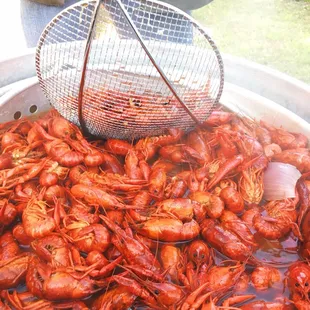 a large pot of craws