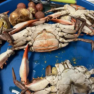 Boiled crabs.