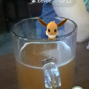 My Eevee trying to steal my beer! Gotta catch them lol