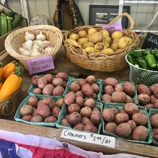 Veggies on display on stands