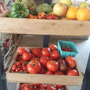 Love this! 1/2 price.