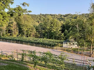 Woody Lodge Winery