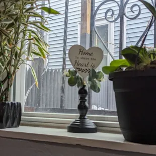 potted plants on a window sill