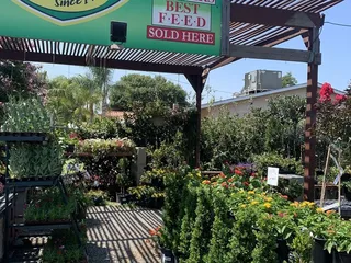 Agape Nursery & Feed