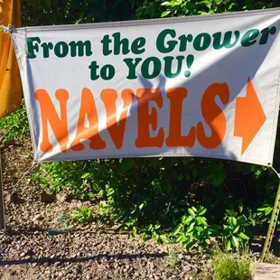 a banner that reads from the grove to our naves