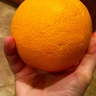 Another huge orange!