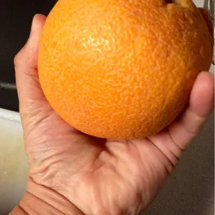 Huge Oranges