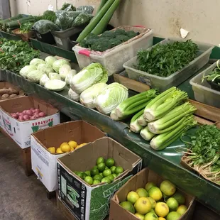  a variety of vegetables