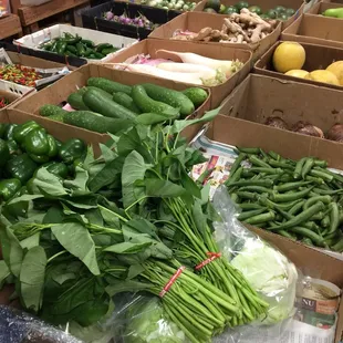  a variety of vegetables