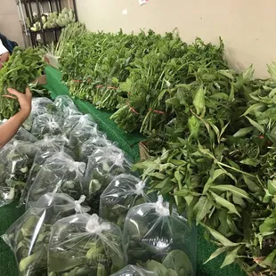 All these vegetables are only $1.00!