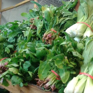 So fresh.   $ 1 per bunch.