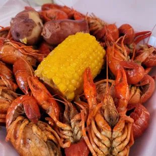 Mudbugs!
