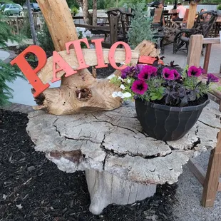 a tree stump with a planter on it
