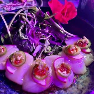 Scallop Carpaccio