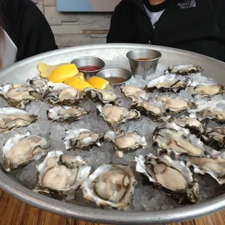 Oysters