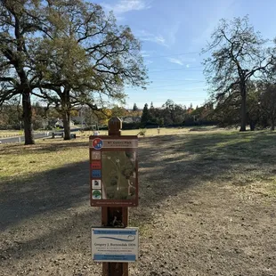 Disc golf course