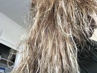 V!va Hair Studio