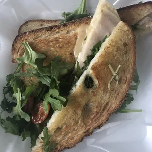 Turkey panini - really good with pear  in it