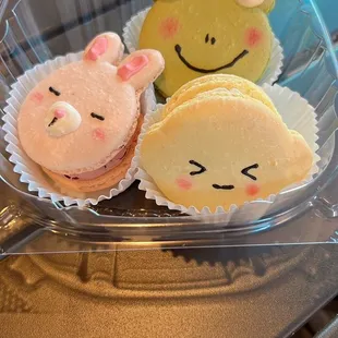 cute macaron