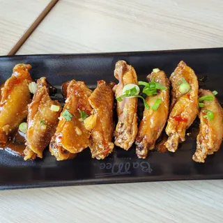 A5 Wow Wings