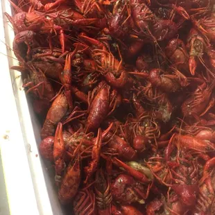 $3.09 a pound!!!! Yum