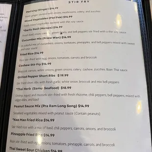 Stir Fry