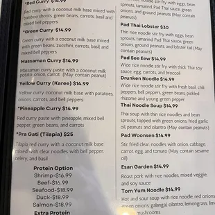 Menu - Curry and Noodles