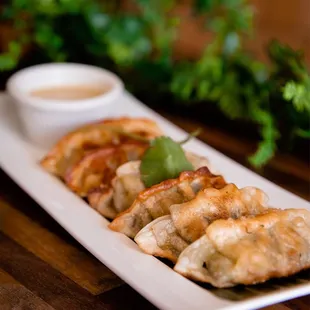 Gyoza