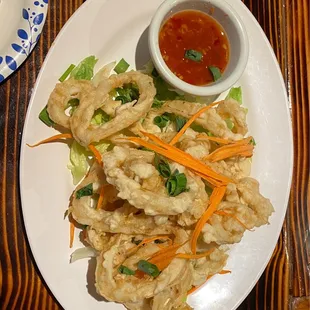 a plate of fried food