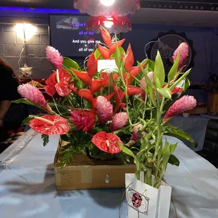 Congratulatory flowers / plants