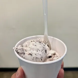 Cookies &amp; Cream Ice Cream