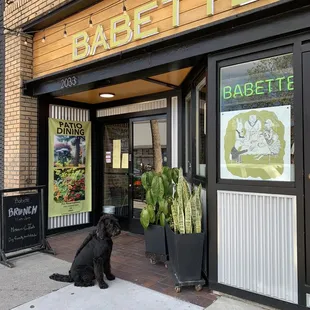 Just admiring the modern wall design