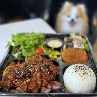 Spicy Pork Dosirak w/ veggie croquette, 4 pc imitation crab roll, salad, rice | $23.99