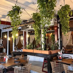 Love a place that has real plants.