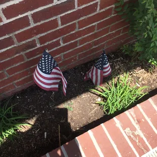 I think they meant well.