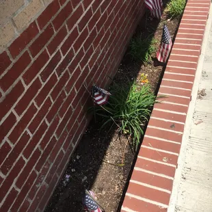 I think they meant well.