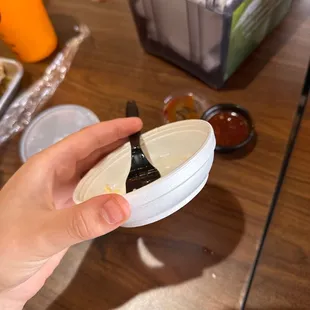 This is there regular size of Mac and cheese, and it's about 5 dollars. This was 2 bites.