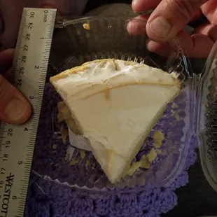 &quot;Large&quot; pie slice