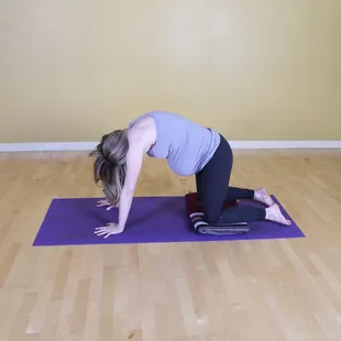 Cat pose for pregnancy