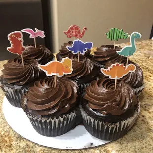 Chocolate cupcakes