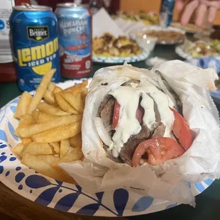 Best Gyro and fries!