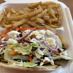 Gyro &amp; fries $9.99