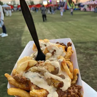 Hot mess fries. They aren't good. I'm just good at photographing food.