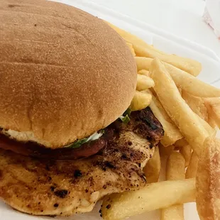 Grilled Chicken Sandwich